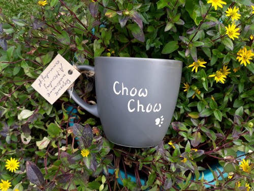 Kubek ręcznie malowany Chow Chow