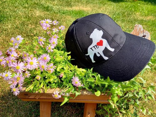 Wyjątkowa ręcznie malowana czapka z daszkiem z Amstafem