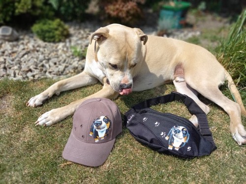 Wyjątkowa ręcznie malowana nerka, saszetka biodrowa z Berneńskim Psem Pasterskim