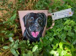 Kubek ręcznie malowany  Labrador  czarny