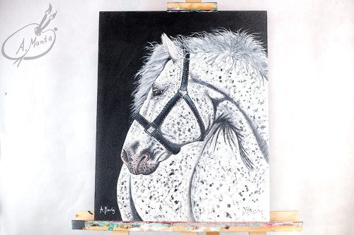 Obraz ręcznie malowany siwy koń na płótnie