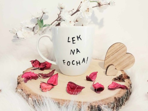 Wyjątkowy, ręcznie malowany kubek Kaktusa i Foch