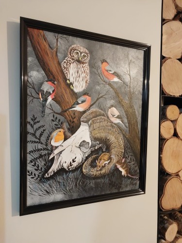 Obraz ręcznie malowany na płótnie Czaszka muflona