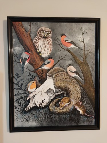 Obraz ręcznie malowany na płótnie Czaszka muflona