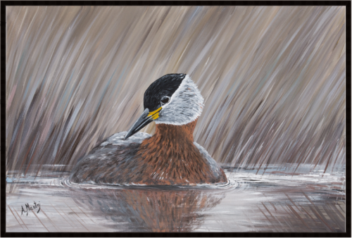 Obraz ręcznie malowany na płótnie Perkoz Rdzawoszyi