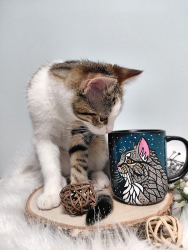 Wyjątkowy, ręcznie malowany kubek kot mandala szary