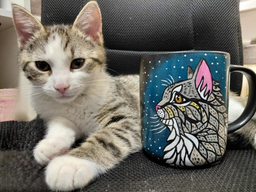 Wyjątkowy, ręcznie malowany kubek kot mandala szary