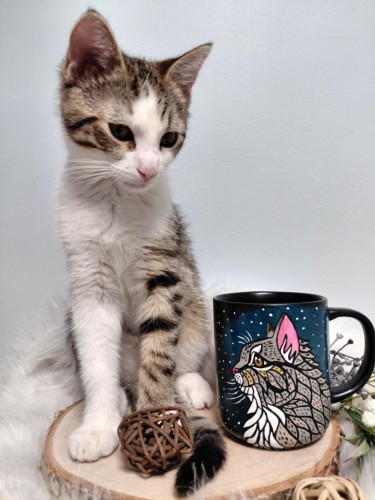 Wyjątkowy, ręcznie malowany kubek kot mandala szary