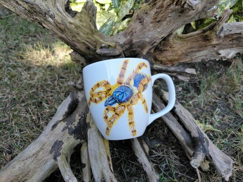 Wyjątkowy, ręcznie malowany kubek pająk