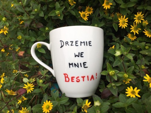 Kubek ręcznie malowany Pies rasy Chihuahua